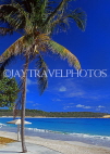 ANTIGUA, Half Moon Bay, beach and coconut tree, ANT1003JPL
