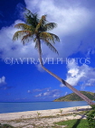 ANTIGUA, beach with leaning ccocnut tree, ANT699JPL