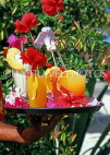 ANTIGUA, cocktails on tray, ANT644JPL