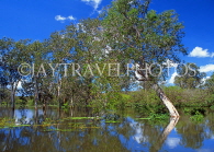 AUSTRALIA, Northern Territory, Kakadu National Park, Yellow Waters billabong, AUS308JPL