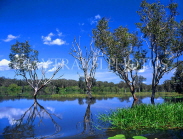 AUSTRALIA, Northern Territory, Kakadu National Park, Yellow Waters billabong, AUS312JPL