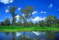 AUSTRALIA, Northern Territory, Kakadu National Park, Yellow Waters billabong, AUS587JPL