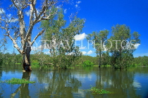 AUSTRALIA, Northern Territory, Kakadu National Park, Yellow Waters billabong, AUS589JPL