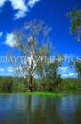 AUSTRALIA, Northern Territory, Kakadu National Park, Yellow Waters billabong, AUS590JPL