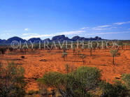 AUSTRALIA, Northern Territory, THE OLGAS (Kata Tjuta), sandplains, with desert oak and mulga trees, AUS1239JPL