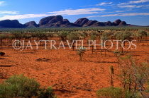 AUSTRALIA, Northern Territory, THE OLGAS (Kata Tjuta), sandplains, with desert oak and mulga trees, AUS385JPL