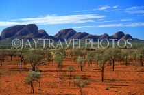 AUSTRALIA, Northern Territory, THE OLGAS (Kata Tjuta), sandplains, with desert oak and mulga trees, AUS386JPL