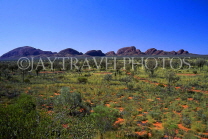 AUSTRALIA, Northern Territory, Uluru-Kata Tjuta National Park, THE OLGAS (Kata Tjuta), AUS84JPL