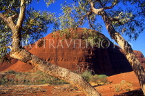 AUSTRALIA, Northern Territory, Uluru-Kata Tjuta National Park, THE OLGAS (Kata Tjuta), Olga Gorge, AUS389JPL