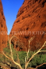 AUSTRALIA, Northern Territory, Uluru-Kata Tjuta National Park, THE OLGAS (Kata Tjuta), Olga Gorge, AUS393JPL