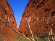 AUSTRALIA, Northern Territory, Uluru-Kata Tjuta National Park, THE OLGAS, Olga Gorge, AUS243JPL