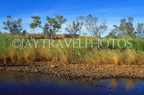 AUSTRALIA, Northern Territory, West MacDonald National Park, scenery, AUS496JPL