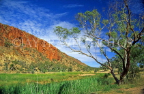 AUSTRALIA, Northern Territory, West MacDonnell Nat Park, GLEN HELEN GORGE, AUS491JPL