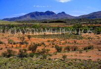 AUSTRALIA, Northern Territory, West MacDonnell range, MOUNT SONDER, AUS452JPL