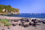 AZORES, Sao Miguel Island, Porto Formoso Beach and volcanic rocks, AZ287JPL