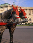 Austria, VIENNA, Heldenplatz, horse drawn cabs, draped horses, VIE322JPL