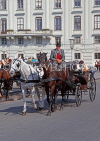 Austria, VIENNA, horse drawn cab, for tourists, VIE308JPL