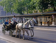 Austria, VIENNA, tourists on horse drawn cab ride, VIE312JPL
