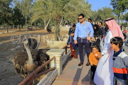 BAHRAIN, Al Areen Wildlife Park, and visitors by Ostriches, BHR1576JPL