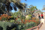 BAHRAIN, Al Areen Wildlife Park, landscaped gardens, flowers, BHR1973JPL