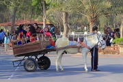 BAHRAIN, Al Areen Wildlife Park, sightseeing by mule drawn cart, BHR1649JPL