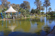 BAHRAIN, Botanical Gardens, pond, BHR1882JPL