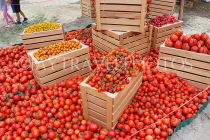 BAHRAIN, Budaiya, Farmers' Market, Tomato stall display, BHR1876JPL