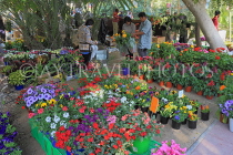 BAHRAIN, Budaiya, Farmers' Market, flowers for sale, BHR1168JPL