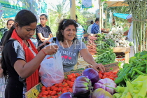 BAHRAIN, Budaiya, Farmers' Market, shoppers at vegetable stall, BHR1245JPL