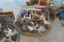 BAHRAIN, Isa Town Market (souk), flea market, bird market, BHR459JPL