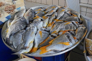 BAHRAIN, Manama, Central Market, Fish Market, BHR1330JPL