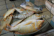 BAHRAIN, Manama, Central Market, Fish Market, BHR1700JPL