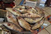 BAHRAIN, Manama, Central Market, Fish Market, Hammour fish, BHR1328JPL