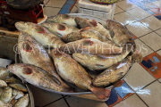 BAHRAIN, Manama, Central Market, Fish Market, Hammour fish, BHR1329JPL