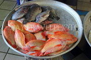 BAHRAIN, Manama, Central Market, Fish Market, Snapper, BHR1332JPL