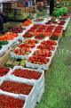 BAHRAIN, Manama, Central Market, varieties of Tomato, BHR1301JPL