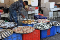 BAHRAIN, Muharraq, Hidd Fish Market, BHR2361JPL