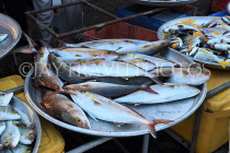 BAHRAIN, Muharraq, Hidd Fish Market, BHR2383JPL