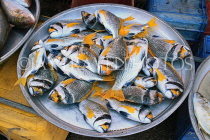BAHRAIN, Muharraq, Hidd Fish Market, BHR2385JPL