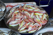 BAHRAIN, Muharraq, Hidd Fish Market, BHR2386JPL