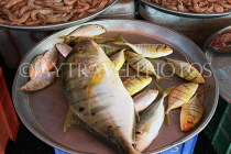 BAHRAIN, Muharraq, Hidd Fish Market, BHR2390JPL