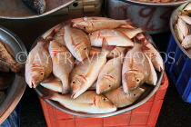 BAHRAIN, Muharraq, Hidd Fish Market, BHR2391JPL