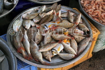BAHRAIN, Muharraq, Hidd Fish Market, BHR2392JPL
