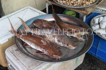 BAHRAIN, Muharraq, Hidd Fish Market, Cat Fish, BHR2393JPL
