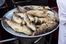 BAHRAIN, Muharraq, Hidd Fish Market, Hammour fish, BHR2376JPL