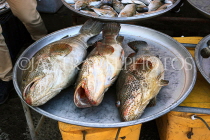BAHRAIN, Muharraq, Hidd Fish Market, Hammour fish, BHR2377JPL