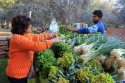BAHRAIN, Noor El Ain, Garden Bazaar, Farmers Market, shopper at vegetable stall, BHR1778JPL