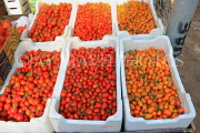 BAHRAIN, Noor El Ain, Garden Bazaar, Farmers Market, varities of tomatoes, BHR1259JPL