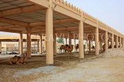 BAHRAIN, Royal Camel Farm, BHR345JPL
