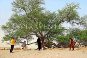 BAHRAIN, Tree Of Life, BHR1827JPL